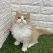 ふぅ