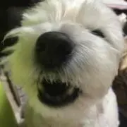 Hita