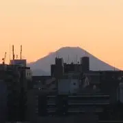 ゼンギンの画像