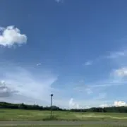ふわりの画像