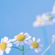 kako@24時間以内に発送の画像