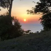 aiaiの画像