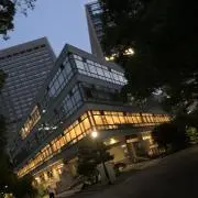 dizzyfuzzyの画像