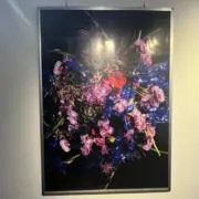 nanachan.の画像
