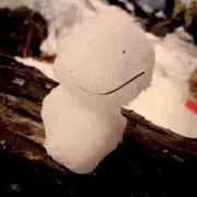 もりぴ