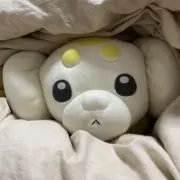 もっち【グッズ整理中】の画像