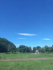 そのりしょの画像