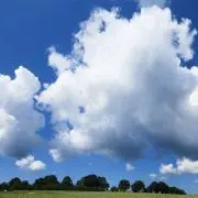 MlKlの画像
