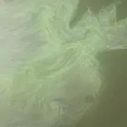 。