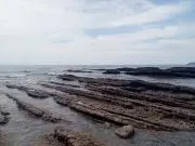 mihoの画像
