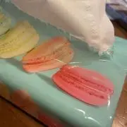 ☆茶々丸☆