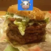 jyosisyoの画像