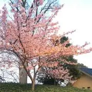 るん