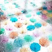 深雪の画像