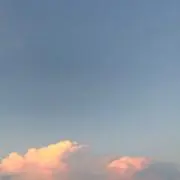ぬっぴの画像