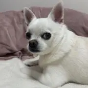 YUKA☆