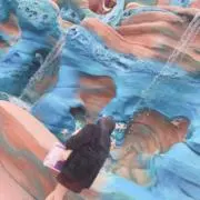 みんぽ