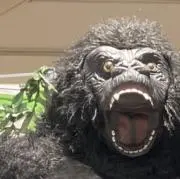 ムツゴロウさん