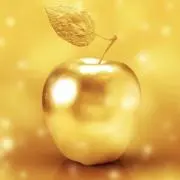 wamakaの画像