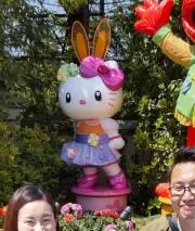 よっしーの画像