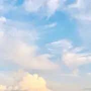 rrの画像