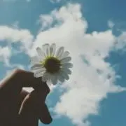 leの画像