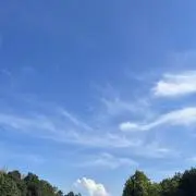 やす