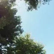 ☆i k k y☆の画像