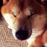 ちーやん