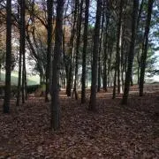 Motokoの画像