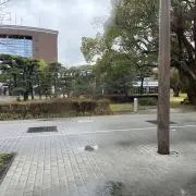 そうの画像