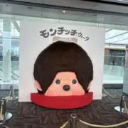 めの画像