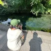 そら豆の画像