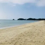 maruの画像