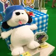 アカンオカン