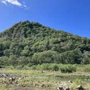 いなにごの画像