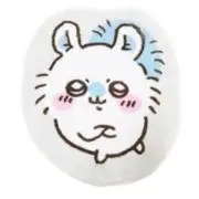 pinanの画像