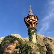 しらすの画像