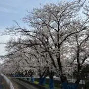 YCの画像