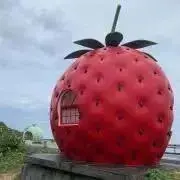 pの画像