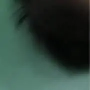 かおまんがいの画像