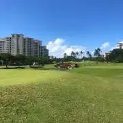 chukaの画像