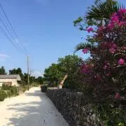 ジャイの画像