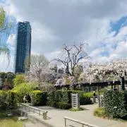 Romromの画像
