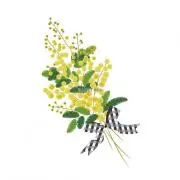 芙雪