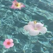 空