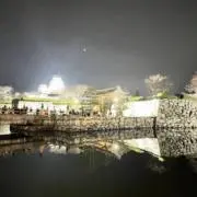 Coの画像