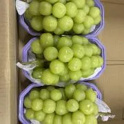 ほたるの画像