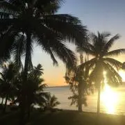 cocoの画像