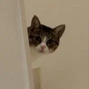 ゆーの画像